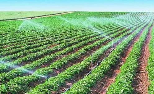 干骚逼肥逼毛茸的农田高 效节水灌溉